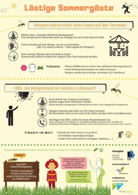 Lästige Sommergäste