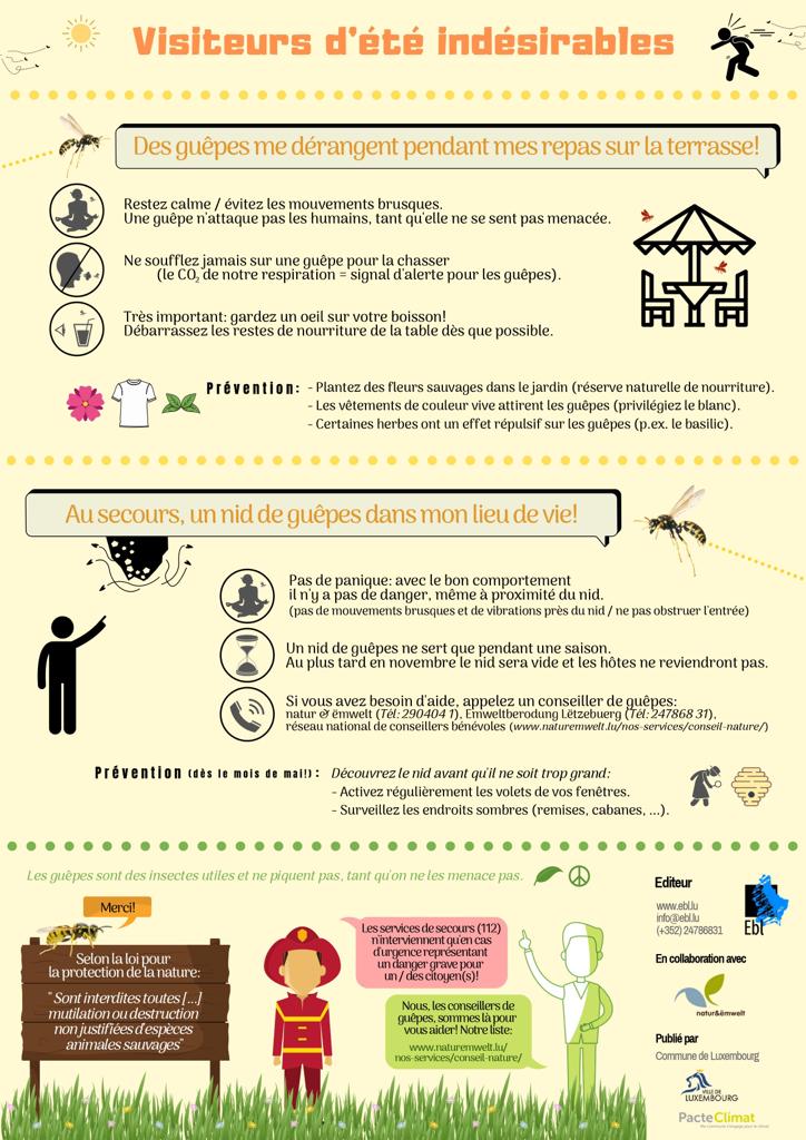 Lästige Sommergäste